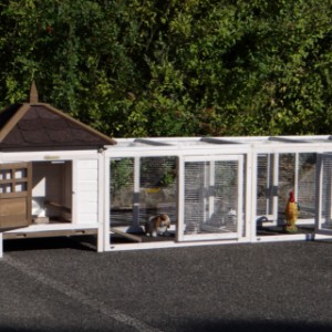Kippenhok Ambiance Small met dubbele ren