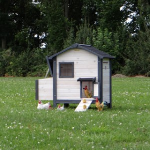 Het kippenhok Nadine is gemaakt van dennenhout