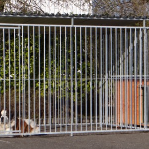  Hondenkennel FLINQ met dak en geisoleerd nachthok Base large geisoleerd