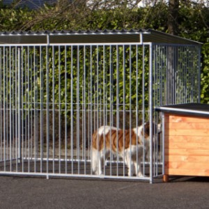  Hondenkennel FLINQ met dak en geisoleerd hok