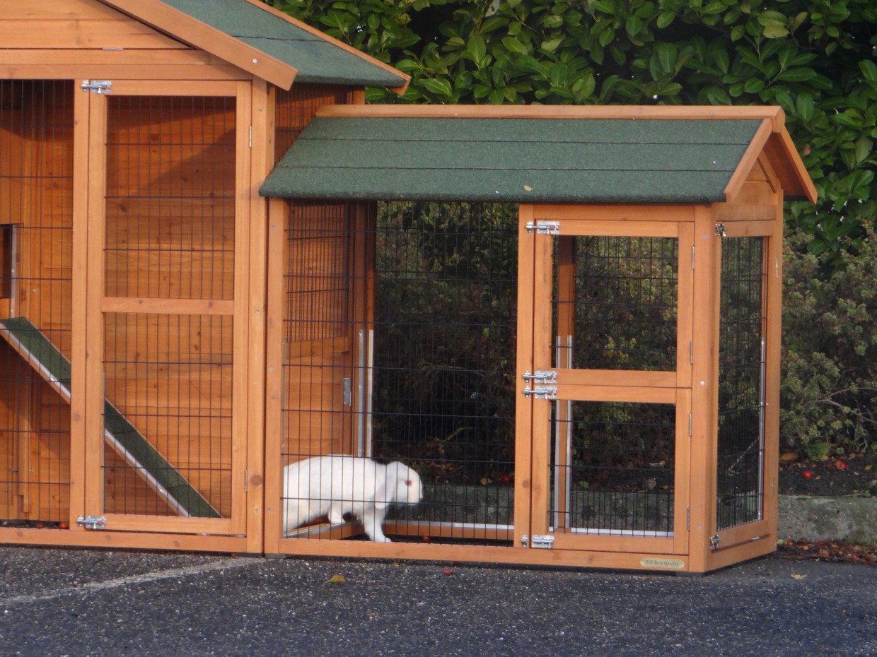 Kippenhok Holiday Medium Met Legnest En Extra Uitloopren 309x80x151cm