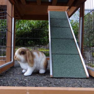De loopplank van konijnenhok Maurice is ca. 90cm lang