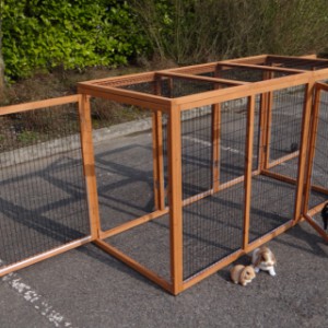 Kattenren Functional 180x80x104cm