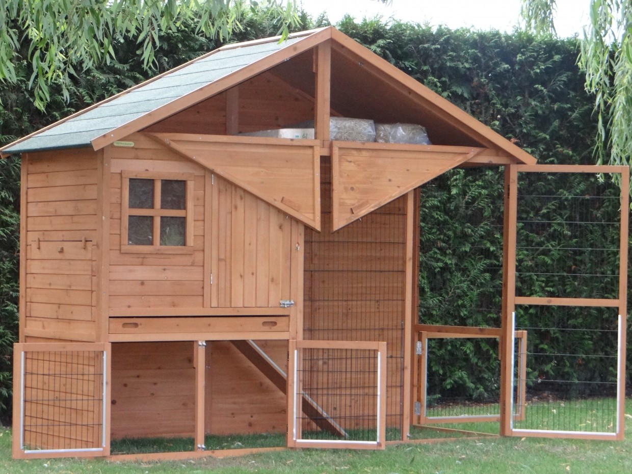Huis Tuin En Keuken C Kippenhok