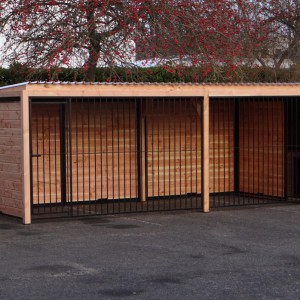 Hondenkennel FORZ zwart met geisoleerd nachthok en Douglas houtkader 627x218cm