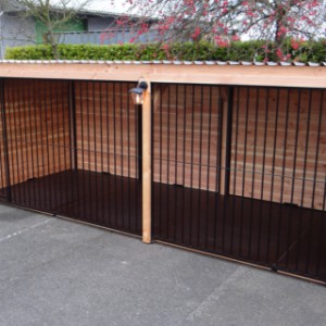 Kennelvloer in de kennel
