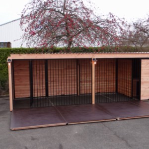 Vlonder in zijn geheel buiten de kennel