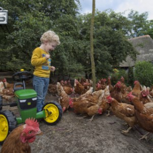 Berg buzzy skelter voor op de boerderij