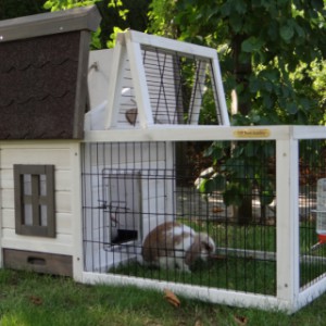 SHOWMODEL - konijnenhok Pretty Home wit/bruin 106x68x64cm