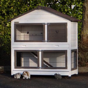 SHOWMODEL - konijnenhok Excellent Medium Anti Knaag White/brown 125x67x132cm