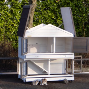 SHOWMODEL - konijnenhok Excellent Medium Anti Knaag White/brown 125x67x132cm