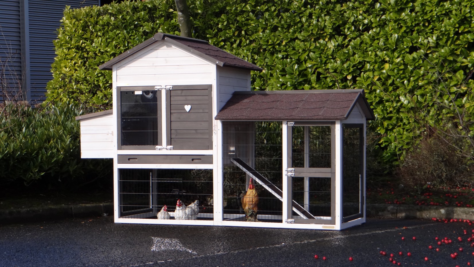 Kippenhok Prestige Medium White Met Ren Rechts En Legnest 229x90x150cm
