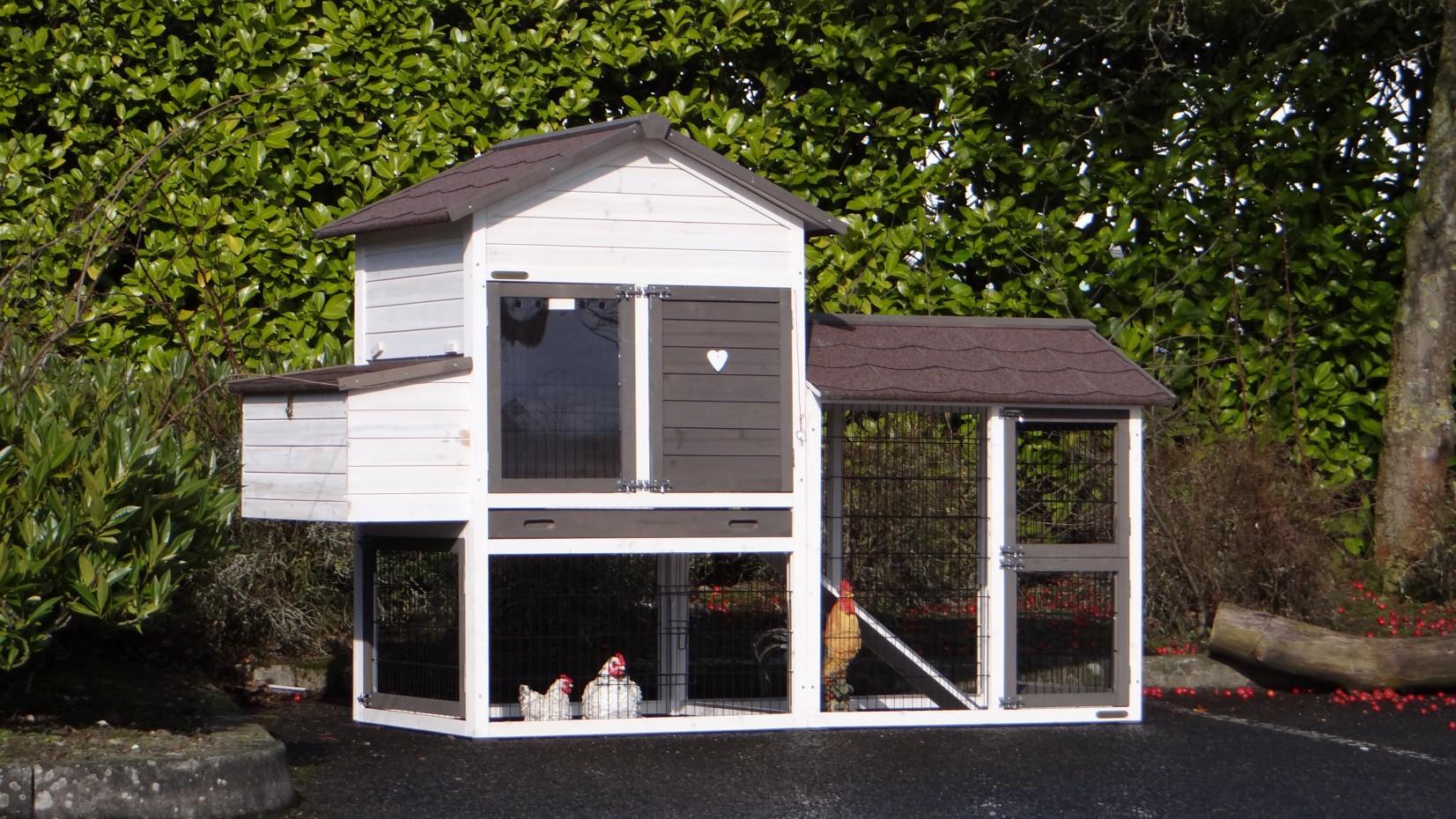 Kippenhok Prestige Medium White Met Ren Rechts En Legnest 229x90x150cm