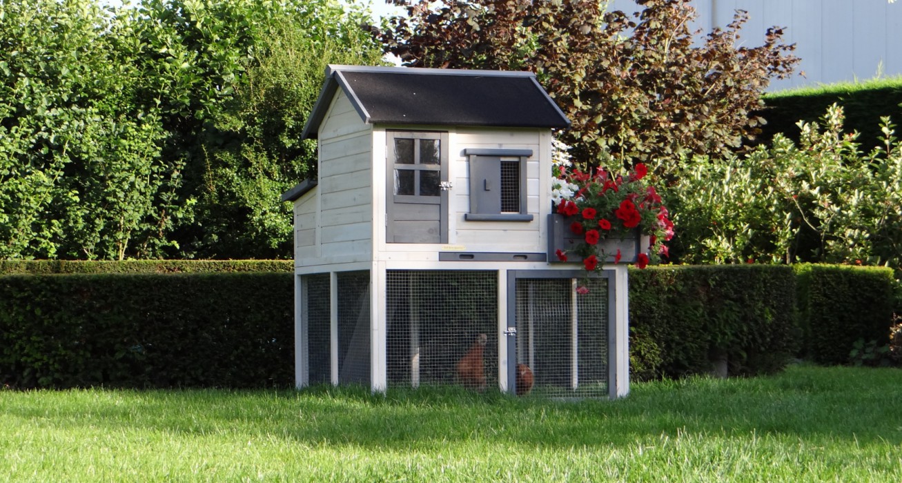 Cordelia Vooruit jeugd Kippen in de tuin: kan dat?