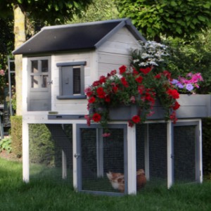 Het houten hok Sunshine wordt geleverd in de afgebeelde kleuren