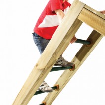 Monkey Bar ladder
