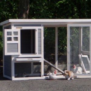 SHOWMODEL - konijnenhok Budget white-grey met kunststof dak 136x64x87cm