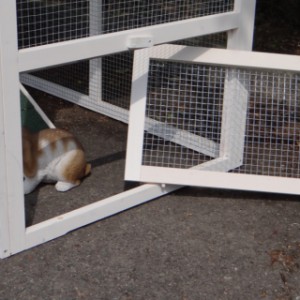 konijnenhok met opening voor aanbouwren