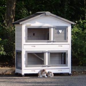 SHOWMODEL - konijnenhok Excellent Small wit/grijs 101x51x113cm
