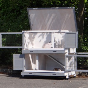 SHOWMODEL - konijnenhok Kim wit/grijs - Anti-knaag 116x65x111cm