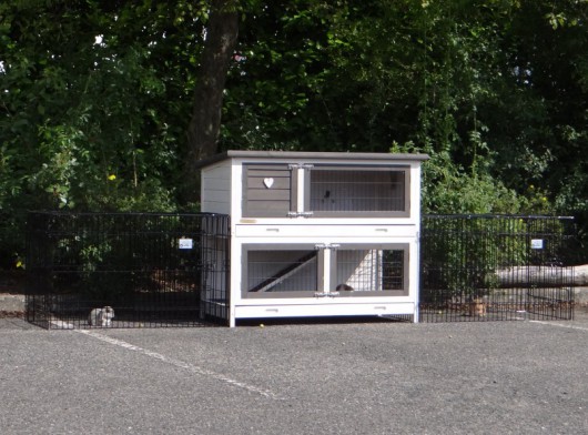 Konijnenhok Adrian met 2 aanbouwrennen Joey 315x60x96cm