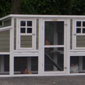 Kippenhok met 2 nestkasten