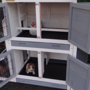 SHOWMODEL - kippenhok / konijnenhok Double Small met 1 ren White-grey