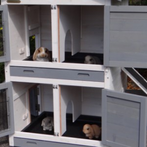 SHOWMODEL - kippenhok / konijnenhok Double Small met 1 ren White-grey
