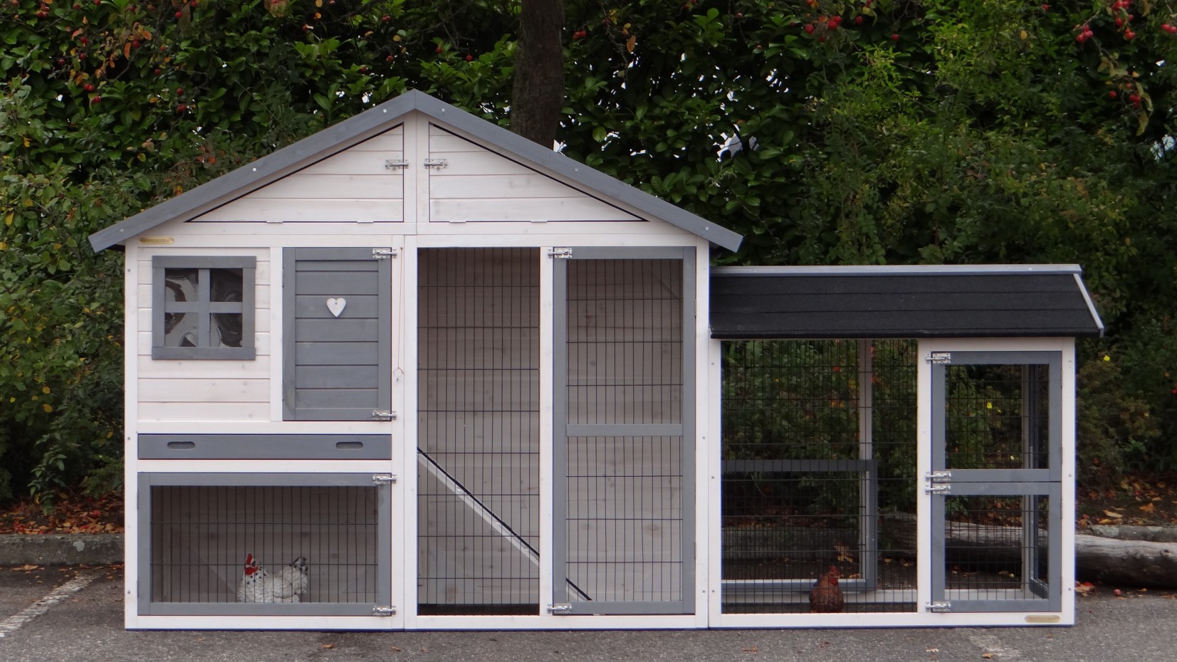 Kippenhok Holiday Medium White Grey Met Extra Uitloopren 289x80x151cm