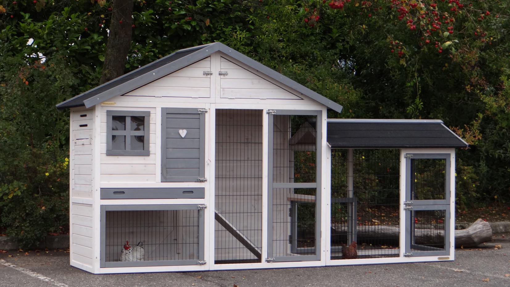 Kippenhok Holiday Medium White Grey Met Extra Uitloopren 289x80x151cm