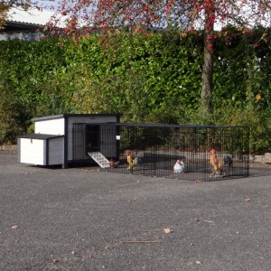 Kippenhok Eva met aanbouwren Jeffrey