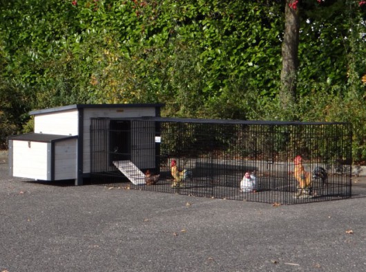 Kippenhok Eva met aanbouwren Jeffrey