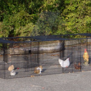 SHOWMODEL - dierenren Jeffrey 252x92x66cm