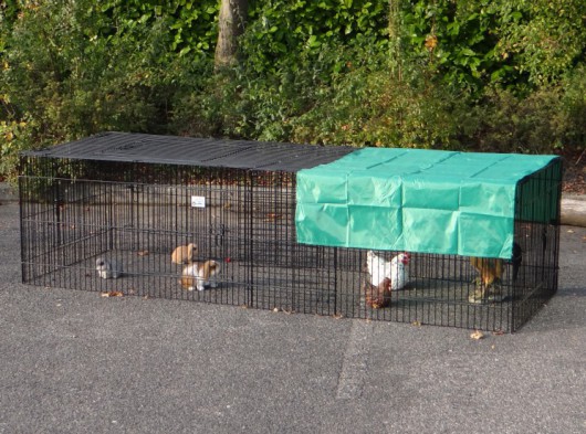 Dierenren Jeffrey met zonnescherm, geschikt als konijnenren of kippenren