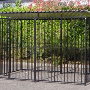 Hondenkennel FLINQ zwart met dak 2x3m