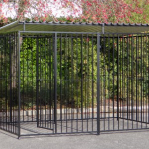 Hondenkennel FLINQ zwart met dak 2x3m