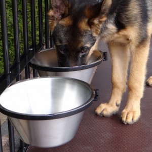 Voerbak Drinkbak voor hondenkennel