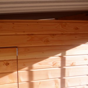 Tussenschot hondenkennel Modul