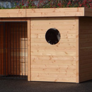 Houten hondenren met dak