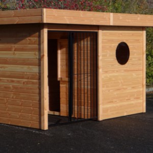 Hondenkennel van douglas hout