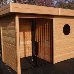 Hondenkennel van douglas hout
