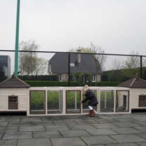 Dubbel kippenhok met grote ren