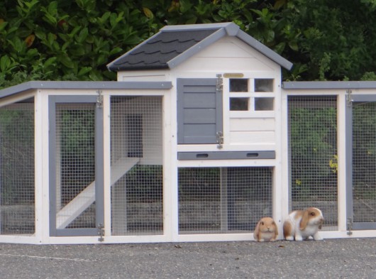 Plexiglas isolatieset · voor konijnenhok Advance Dubbel