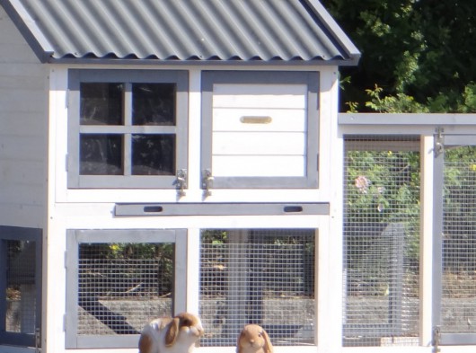 Plexiglas isolatieset · voor konijnenhok Nice met ren Advance