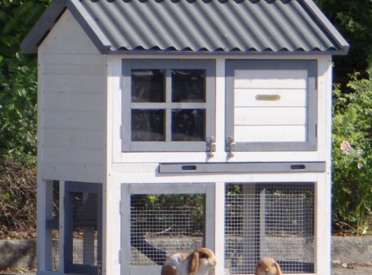 Plexiglas isolatieset · voor konijnenhok Nice