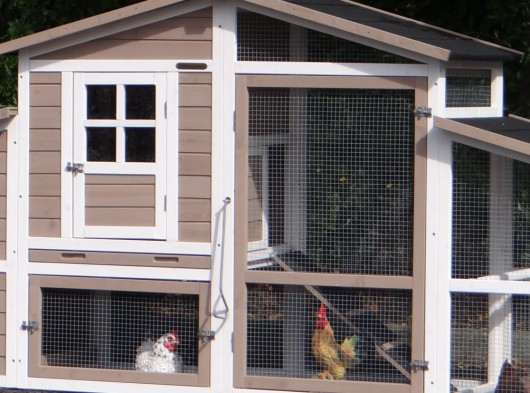 Plexiglas isolatieset · voor konijnenhok Leah