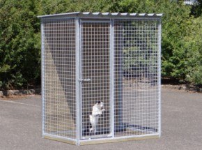 Kattenren Sjaan 150x100 cm