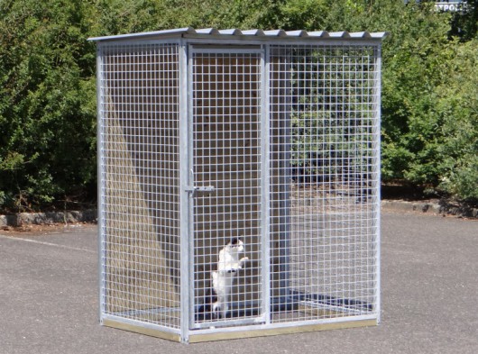Kattenren Sjaan 150x100 cm