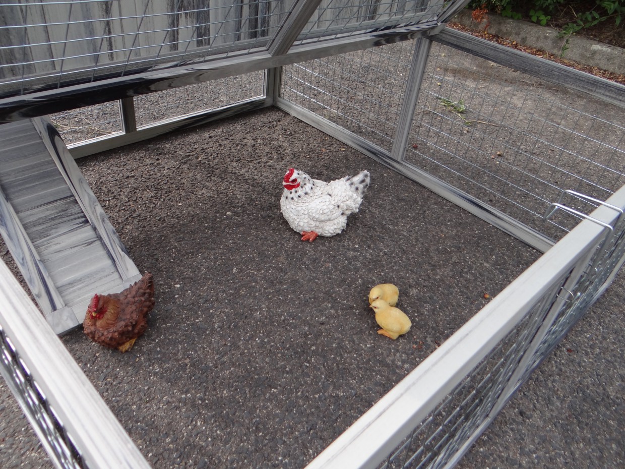 Kunststof Kippenhok Mireille 145x140x119cm